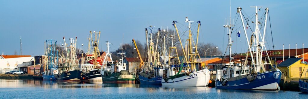 Ferienhaus Büsum Nordsee