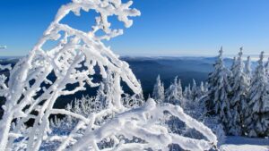 Große Arber, Winterurlaub, Skiurlaub, Ferienwohnung